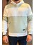 Kapüşonlu Üç Iplik Şardonlu Erkek Sweatshirt 4