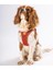 Air-Mesh Terracotta Köpek Göğüs Tasması 4