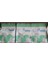 Phyto Guard - Buzağı Direnç Ürünü 1 kg (Günlük Kullanım İçin) 2