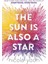 The Sun Is Also A Star - Nicola Yoon 3