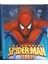 Spiderman 20'li Sunum Dosyası 1