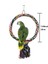 Çap 25CM Tarzı Kafes Salıncağı Çıtçıt Halat Halka Oyuncak Papağan Budgie Muhabbet Kuşu Kafes Tüy Kafesi Standı Için E-Commerce Ürün Başlığı (Yurt Dışından) 3