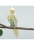 Monk Parakeet Stili Için Kuş Papağanı Tüy Bağlı Uçuş Takımı Kıyafetleri Luişku Yalama Tüy Bebek Bezi - Türkçe (Yurt Dışından) 2