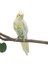 Monk Parakeet Stili Için Kuş Papağanı Tüy Bağlı Uçuş Takımı Kıyafetleri Luişku Yalama Tüy Bebek Bezi - Türkçe (Yurt Dışından) 4