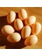 10 Adet Tarzı 5X4CM Küçük Sahte Yumurtalar 5*3.4cm Çiftlik Hayvan Malzemeleri Kafes Aksesuarları Rehber Tavuk Yuvası Yumurta Çocuk Oyuncakları Boyama (Yurt Dışından) 4