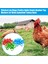 No.2 Tarzı 2cm Tavuk Bacak Halkaları Kümes Ayak Bantları Numara Etiketleri Kuşlar Gamefowl Hindi Ördek Için (Yurt Dışından) 5