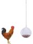 8cm Tarzı Kuş Asılı Tavuk Tavuk Yumurta Evcil Hayvan Yem Arama Besleyici Sebze Meyve Dağıtıcısı (Yurt Dışından) 4