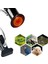 1 Adet 150W Lamba Tipi L Beden Seramik Lamba Tutucu Isıtma Lambası + E27 Tabanlı Kertenkele Kuluçka Kafesi Isıtıcı Sıcaklık Kontrol Aracı (Yurt Dışından) 2