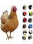 No.3 Tarzı Heken Kasklı Kafes Kuş Kafesi Güneş Yağmur Malzemeleri Kask Aksesuarları Oyuncak Kask Küçük Kostümler Kuş Tavuk P B3L8 (Yurt Dışından) 5