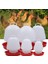 1.5kg Tarzı Yuvarlak Balon Tavuk Içme Çeşmesi Cihazı Asılı Kupa Su Kabı Su Içirici Evcil Hayvan Su Içirici Evcil Hayvan Besleme Kabı (Yurt Dışından) 4