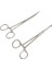 Düz Kafa 14CM Tarzı S Beden Paslanmaz Çelik Vasküler Klem Fıtığı Cerrahi Fıtığı Cerrahi Alet Kiti Hemostat Kilitleme Klempler Fıtığı Olta Pense (Yurt Dışından) 3