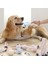 Siyah Stil Köpek Oyuncakları Köpek Kemik Oyuncak Molar Terlik Şekil Diş Temizleme Çubuğu Pet Aksesuarları Için Köpek Aksesuarları Büyük Küçük Köpekler Için (Yurt Dışından) 3