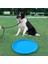 Turuncu Tarzı Çap 15CM Zlar Köpek Oyuncakları Köpek Eğitim Pp Uçan Disk Oyuncaklar Pet Malzemeleri Köpek Aksesuarları Evcil Hayvan Ürünleri Köpek Yavrusu Diskler (Yurt Dışından) 4