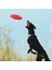 Yeşil M Stili Köpek Oyuncakları ve Aksesuarları Silikon Yumuşak Köpek Uçan Disk Dişe Dayanıklı Eğitim Için (Yurt Dışından) 4