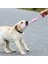 D Stili Ev Evcil Hayvan Köpek Oyuncak Setleri Köpek Çiğneme Halat Oyuncakları Büyük Büyük Köpekler Için Diş Temizleme Oyuncakları Köpekler Çiğneme Oyuncak Aksesuarları (Yurt Dışından) 4