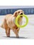 Yeşil1 Tarzı Ev Eğitim Halkası Dayanıklı Isırma Yüzen Oyuncak Köpek Dış Mekan Etkileşimli Oyun Ürünleri Tedarik (Yurt Dışından) 2
