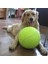 Ben Stil S Beden Köpekler Için Kauçuk Çınlama Oyuncak Tavuk Çiğneme Kemik Terlik Squeaky Top Köpek Oyuncakları Diş Gıcırdatma ve Eğitim Pet Oyuncak Malzemeleri (Yurt Dışından) 3