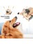 Kahverengi Tarzı Kirpi Peluş Köpek Oyuncak Küçük Büyük Köpekler Için Etkileşimli Sıkıcı Sesli Oyuncaklar Yavru Isırma Dayanıklı Sevimli Köpekler Için Hediye (Yurt Dışından) 2
