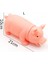 21CM 21CM Çiğneme Squeaker Oyuncak Domuz Sesi Çıkaran Interaktif Simülasyon Model Domuz Köpek Kedi Kauçuk Domuz Oyuncak Aksesuarları (Yurt Dışından) 1