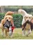 F Stili Xl Beden Büyük Köpekler Için Diş Temizliği Yapan Dev Köpek Oyuncakları Büyük Köpekler Için Çiğneme Oyuncakları Sevimli Kurt Oyuncak Dolması Squeaker Oyuncaklı Hayvanlar (Yurt Dışından) 2