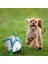 1PC18CM Tarzı Köpek Oyuncak Futbol Oyuncakları Yavru Büyük Köpekler Için Dış Mekan Eğitim Interaktif Pet Isırma Çiğneme Topu Oyuncakları Futbol ile Halat (Yurt Dışından) 3