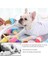 Altın Tarzı Yeni Moda Köpek Oyuncak Oyun Oyuncakları Küçük Büyük Köpek Squeaking Peluş Pet Oyuncak Köpekler Evcil Hayvanlar Aksesuarları (Yurt Dışından) 3