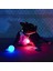 Renkli Stil L Beden LED Luminous Pet Dog Bite Ball Renkli Dönüşüm Etkisi Köpek Topları Etkileşimli Köpek Parlayan Oyuncak Köpek Isırma Topu Gece - (Yurt Dışından) 4