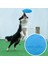 Köpek-Sarı Tarzı Çap 15CM Evcil Köpek Uçan Disk Oyuncakları Ekolojik Yumuşak Kauçuktan Yüzen Ufo Köpek Yavrusu Için Dayanıklı Isırma Disk Oyuncaklar Eğitim Malzemeleri (Yurt Dışından) 5