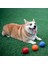 Yeşil Top Ip Stili 5 cm Köpek Yumuşak Kauçuk Top Yüksek Elastik Esneklik Çiğneme Oyuncağı Atma Eğitim Topu ile Halat Diş Temizliği Isırma Direnci (Yurt Dışından) 5