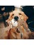 Ayı Stili Eğlenceli Evcil Hayvan Oyuncak Eşek Şekilli Kadife Diş Oyuncağı Köpek Yavrusu Sıkıştırıcı Sesli Peluş Kemik Diş Oyuncağı Eğitim Köpek Malzemeleri (Yurt Dışından) 4