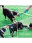 Kırmızı ve Beyaz Tarzı Emme Kupası Çekiş Oyuncak Köpek Oyuncak Diş Fırçası Için Köpek Dişi Temizleme Yapışkan Kupayla Esnek Halatlar Yavru Büyük Köpek Isırma Oyuncak (Yurt Dışından) 2