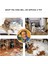Sevimli Ayı Stili Küçük Köpekler Için Noel Köpek Oyuncakları Peluş Squeaky Yavru Oyuncaklar Squeaker ile Dayanıklı Dolgulu Noel Baba Geyik Pet Malzemeleri (Yurt Dışından) 3