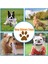 Siyah Stil Köpek Oyuncakları Büyük Küçük Köpekler Için Oyuncaklar Etkileşimli Pamuk Halat Mini Köpek Oyuncak Top Diş Temizleyici Çubuk Pet Aksesuarları (Yurt Dışından) 5
