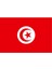Tunus Gönder Bayrağı 70X105 Cm. 3