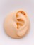 Cerrahi Çelik Piercing Beş Taşlı Kıkırdak Helix Tragus Piercing (1ADET) -V2 1