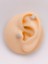 Cerrahi Çelik Piercing Full Taş Detaylı Kuzey Yıldızı Kıkırdak Helix Tragus Piercing (1ADET) 2