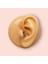 Cerrahi Çelik Tam Tur Silver Taşlı Tragus Helix Uyumlu Piercing 3