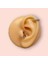 Cerrahi Çelik Tam Tur Silver Taşlı Tragus Helix Uyumlu Piercing 5