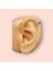 Cerrahi Çelik Tam Tur Taşlı Silver Tragus Helix Uyumlu Piercing 3