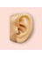 Cerrahi Çelik Tam Tur Taşlı Silver Tragus Helix Uyumlu Piercing 4