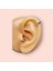 Cerrahi Çelik Tam Tur Taşlı Silver Tragus Helix Uyumlu Piercing 5