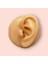 Cerrahi Çelik Gold Tam Tur Taşlı Tragus Helix Uyumlu Piercing 4