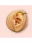 Cerrahi Çelik Gold Tam Tur Taşlı Tragus Helix Uyumlu Piercing 5