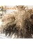 17.72INCH Kurutulmuş Pampas Çiçek Dekor Kabarık Pampas Çim 30 Kaynaklanıyor Küçük Pampas Toplu Doğal Pampas Otları Kısa (Yurt Dışından) 4