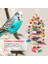 Büyük Papağan Çiğneme Oyuncağı - Kuş Papağan Blokları Düğüm Yırtılma Oyuncak Kuş Kafesi Isırık Oyuncak Afrika Gri Macaws Kakaduları ile Uyumlu (Yurt Dışından) 5