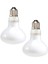 Nomoypet 2 Paket Sürüngenler Uvb Uva Isı Lambası Ampulü Sürüngenler Için Gerçekten Güneş Gibi Parlak Isı Sürüngenler, Amfibi ve Kuşlar (100 W) (Yurt Dışından) 1