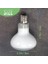 Nomoypet 2 Paket Sürüngenler Uvb Uva Isı Lambası Ampulü Sürüngenler Için Gerçekten Güneş Gibi Parlak Isı Sürüngenler, Amfibi ve Kuşlar (100 W) (Yurt Dışından) 4