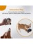 Köpek Cırlak Oyuncaklar Kirpi Dolması Peluş Köpek Çiğneme Oyuncakları Küçük Orta ve Büyük Köpek ile Uyumlu Dayanıklı Interaktif Köpek Oyuncakları, C (Yurt Dışından) 4