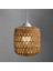 Декоративное Освещение,3x Simüle Rattan Lamba Kapağı El Yapımı Dokuma Avize Vintage Abajur Ev Dekor Asılı Kolye Yatak Odası (Yurt Dışından) 4