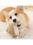 Peluş Köpek Oyuncak Pp Pamuk Doldurma Cızırtılı Köpek Çiğneme Oyuncakları Köpek Evcil Hayvanlar ile Uyumlu Can Sıkıntını Giderir Evcil Hayvan Malzemeleri (Tavşan) (Yurt Dışından) 2